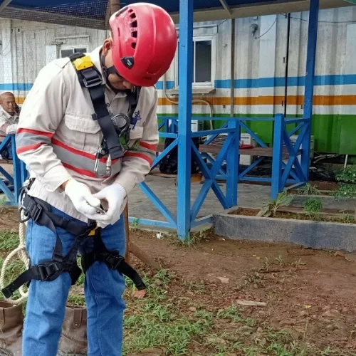 3 - Repeater Sinyal Hp