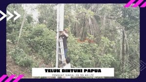 Read more about the article Jual Penguat Sinyal Hp Teluk Bintuni Papua Barat