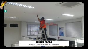 Read more about the article Jual Penguat Sinyal Hp Mimika Papua