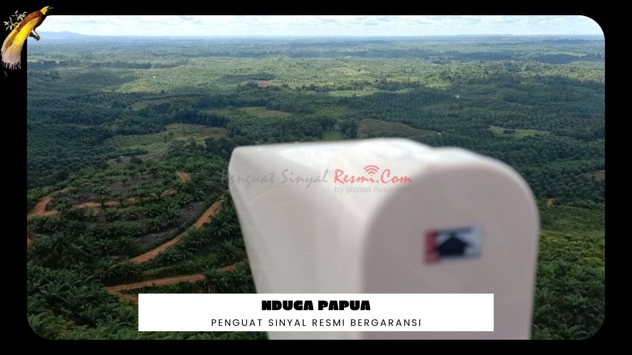 Read more about the article Jual Penguat Sinyal Hp Nduga Papua